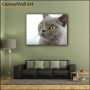 Canvas Prints Landscape Cat Sample